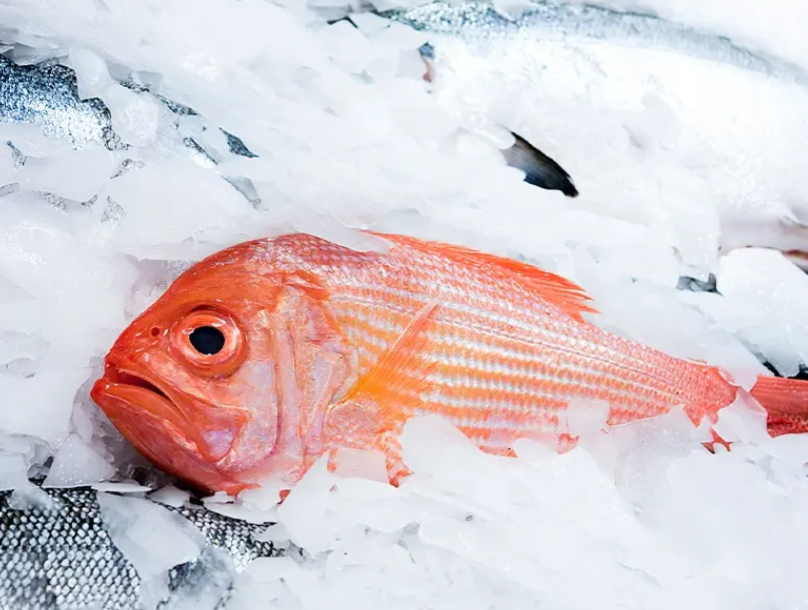 在高溫高濕的環(huán)境下，機器內(nèi)部容易產(chǎn)生冷凝水，這些水分會附著在冰塊上，使其變得濕潤