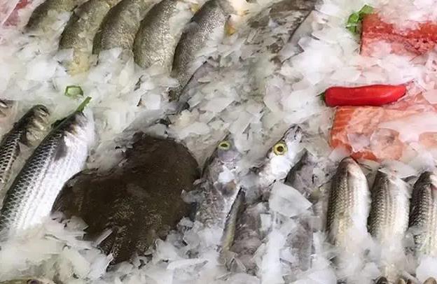 片冰機(jī)的水要加鹽嗎？