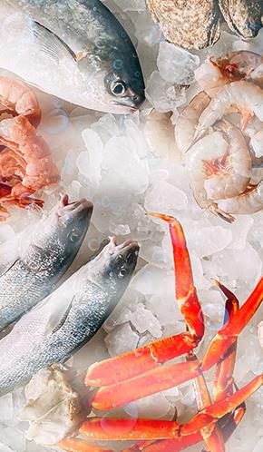 漁業(yè)冷藏 漁業(yè)冷藏