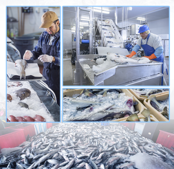 自動(dòng)加水、制冰到脫冰，全過程不需要人工干涉