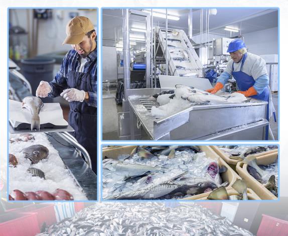 不同行業(yè)對冰塊大小有不同要求 不同行業(yè)對冰塊大小有不同要求