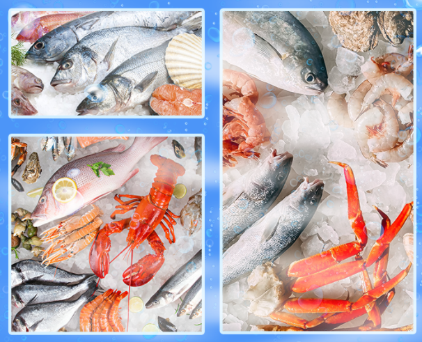 ?水產(chǎn)加工? ?水產(chǎn)加工?