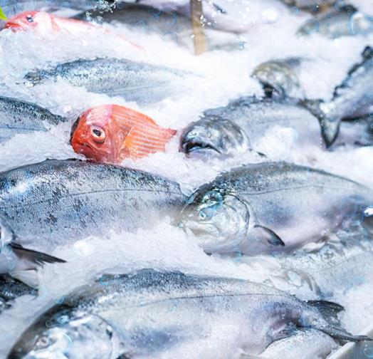 三、適用行業(yè)?