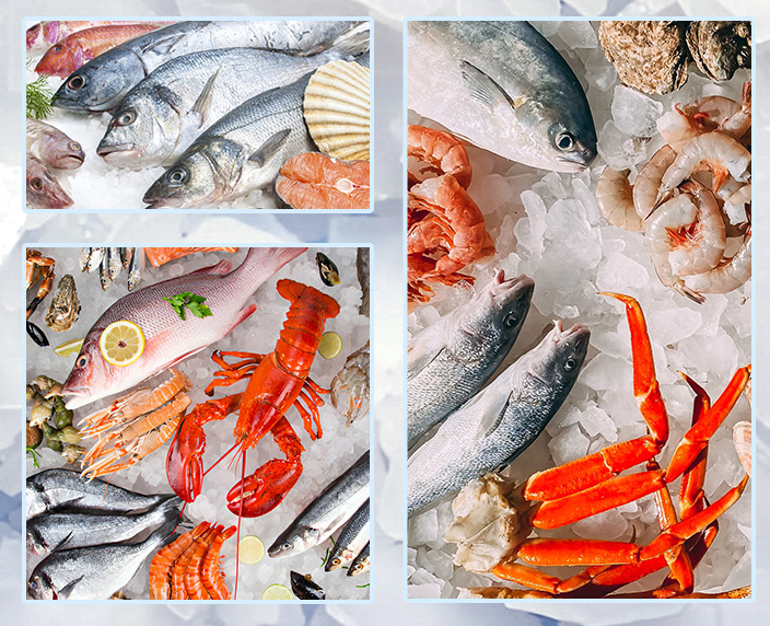 專門針對(duì)海鮮冷藏的特殊需求而設(shè)計(jì) 專門針對(duì)海鮮冷藏的特殊需求而設(shè)計(jì)