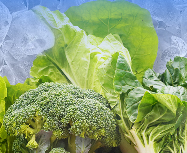 應(yīng)用場(chǎng)景 應(yīng)用場(chǎng)景