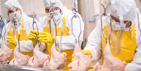 食品加工 食品加工