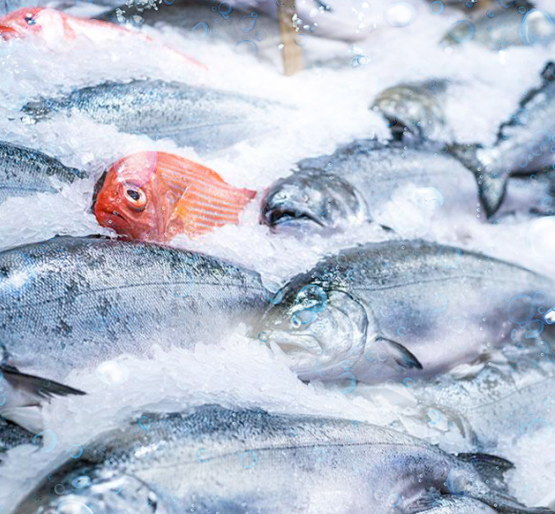 海鮮市場 海鮮市場